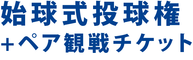 始球式投球権＋ペア観戦チケット