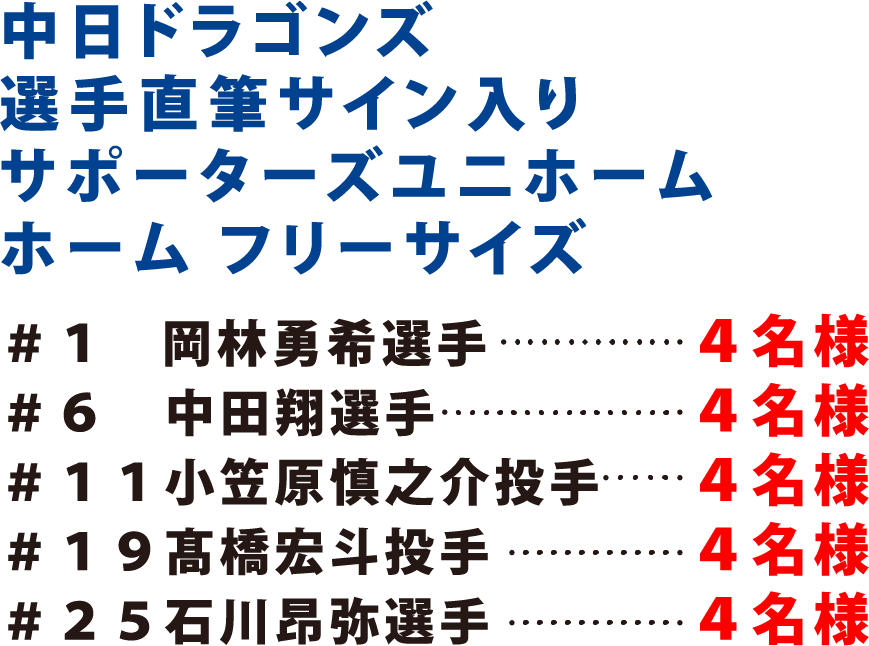 中日ドラゴンズ選手直筆サイン入りサポーターズユニホーム ホーム フリーサイズ