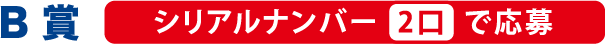 B賞 シリアルナンバー2口で応募