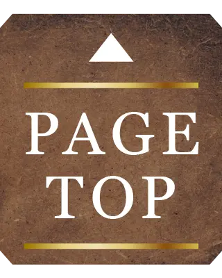 ページトップへ戻る